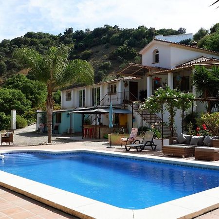 Vegan B&B Finca Pereila Coín Exterior foto