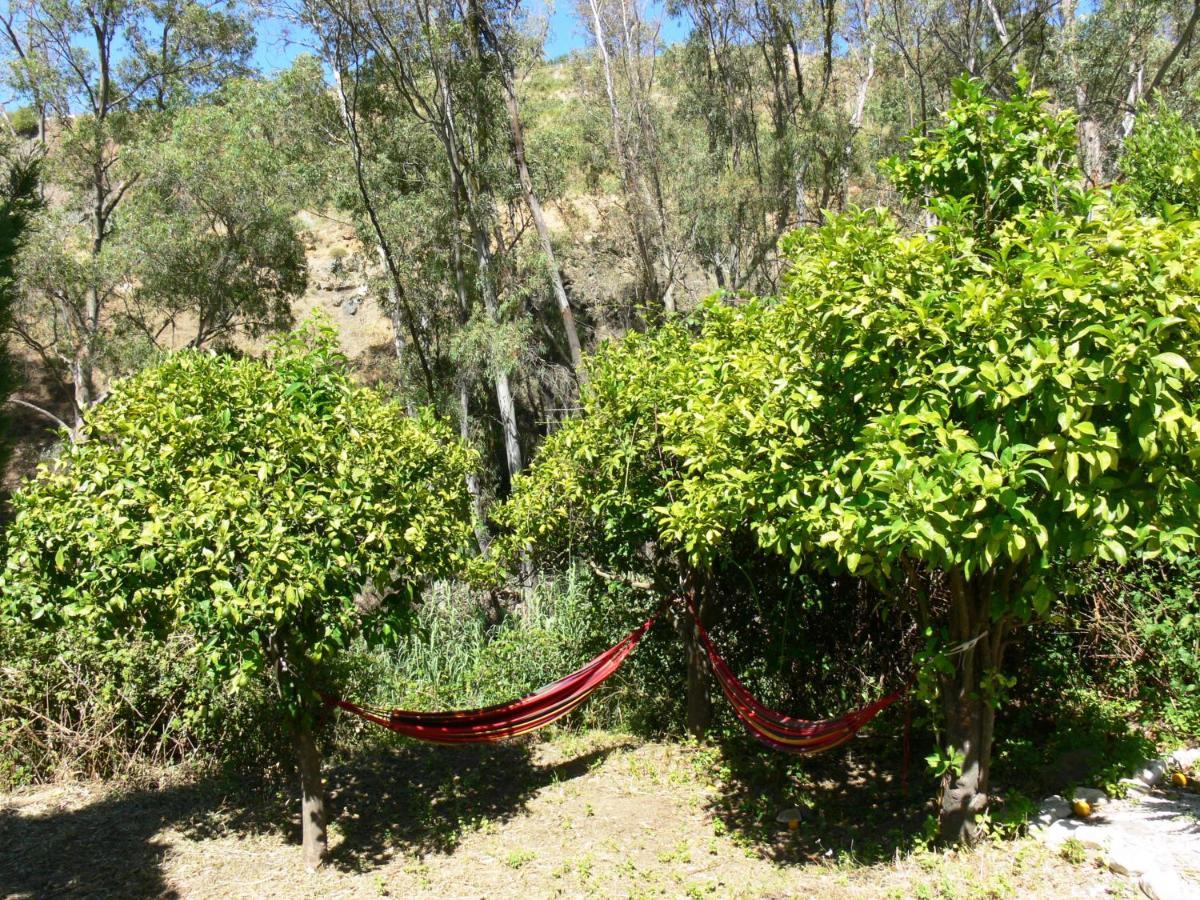 Vegan B&B Finca Pereila Coín Exterior foto