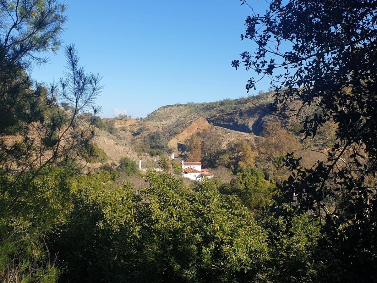 Vegan B&B Finca Pereila Coín Exterior foto